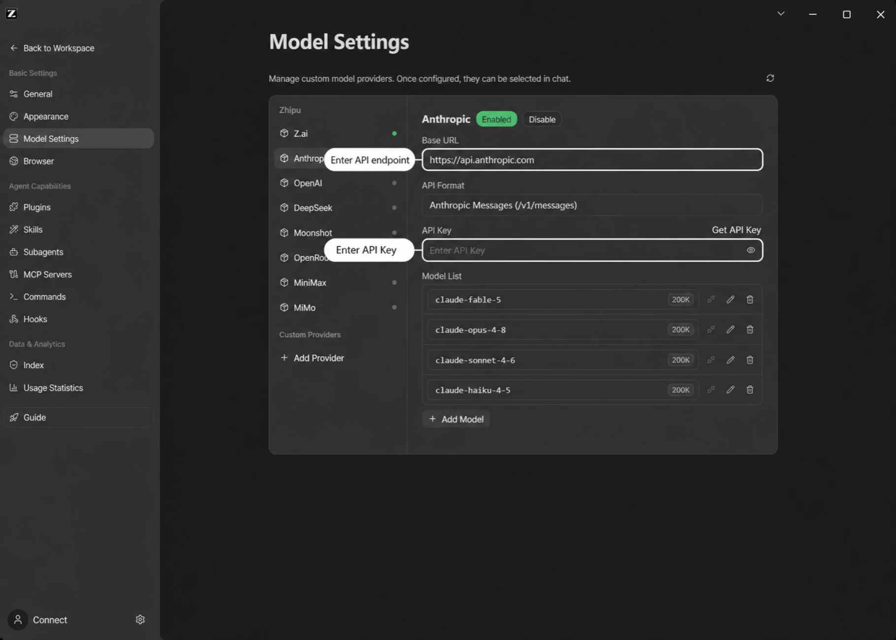 Anthropic provider settings
